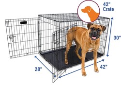 Petmate - Petmate 41271 İki Kapılı Tel Kafes ( 107 x 71 x 76 cm )