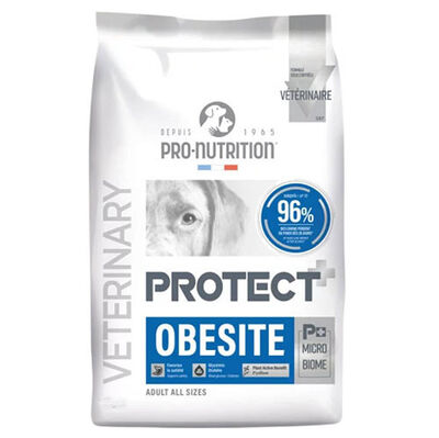 Pro Nutrition Protect Veterinary Obesite Kilo Kontrolü İçin Köpek Maması 12 Kg