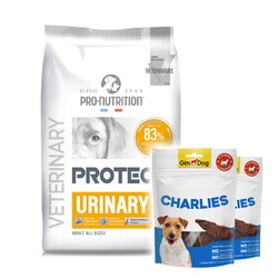Pro Nutrition - Pro Nutrition Protect Veterinary Urinary İdrar Yolu Sağlığı Destekleyici Köpek Maması 12 Kg + 2 Adet Gimdog 70 Gr Köpek Ödülü