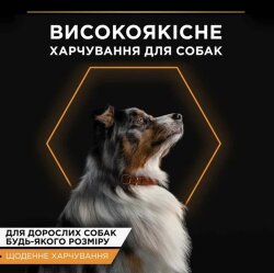 Pro Plan Adult Jelly Turkey Hindi Etli Köpek Konservesi 400 Gr - 4