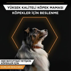 Pro Plan Adult Jelly Turkey Hindi Etli Köpek Konservesi 400 Gr - 2