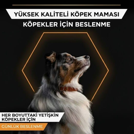 Pro Plan Adult Jelly Turkey Hindi Etli Köpek Konservesi 400 Gr - 2
