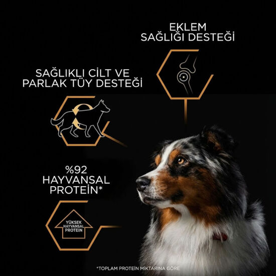 Pro Plan Adult Jelly Turkey Hindi Etli Köpek Konservesi 400 Gr x 12 Adet - 5