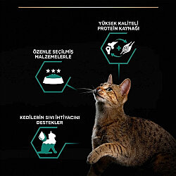 Pro Plan Adult Tavuklu ve Sebzeli Yetişkin Kedi Konservesi 85 Gr ( 24 Adet x 85 Gr ) - 3