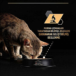Pro Plan Adult Tavuklu ve Sebzeli Yetişkin Kedi Konservesi 85 Gr ( 24 Adet x 85 Gr ) - 4
