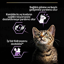 Pro Plan Baby Kitten Tavuk Etli Yavru Kedi Konservesi 85 Gr - 6 Adet - 4