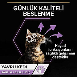 Pro Plan Baby Kitten Tavuk Etli Yavru Kedi Konservesi 85 Gr - 6 Adet - 8
