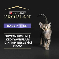 Pro Plan Baby Kitten Tavuk Etli Yavru Kedi Konservesi 85 Gr - 5