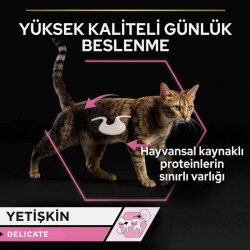 Pro Plan Delicate Hassas Hindi Etli Kedi Konservesi 85 Gr ( 24 Adet x 85 Gr ) - 3