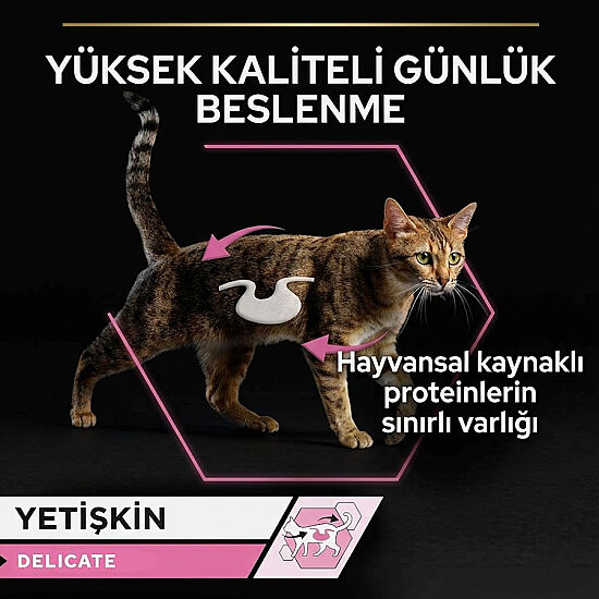 Pro Plan Delicate Hassas Hindi Etli Kedi Konservesi 85 Gr ( 24 Adet x 85 Gr ) - 6