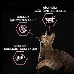 Pro Plan Delicate Kuzu Etli Hassas Sindirim Kedi Maması 10 Kg + 14 Adet Pro Plan Hairball Pouch - 4