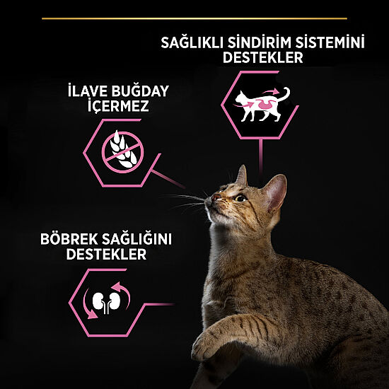 Pro Plan Delicate Tavuk Etli Hassas Sindirim Kısırlaştırılmış Kedi Maması 10 Kg + 14 Adet Pro Plan Hairball Pouch - 3