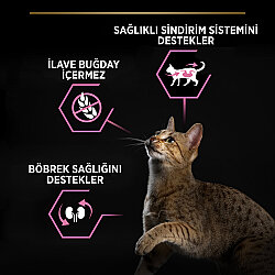 Pro Plan Delicate Tavuk Etli Hassas Sindirim Kısırlaştırılmış Kedi Maması 3 Kg + 2 Adet Gourmet Çorba - 3