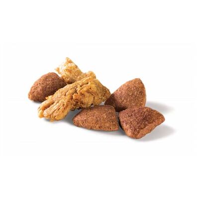 Pro Plan Duo Delice Parça Sığır Etli Köpek Maması 10 Kg + 2 Adet Temizlik Havlusu