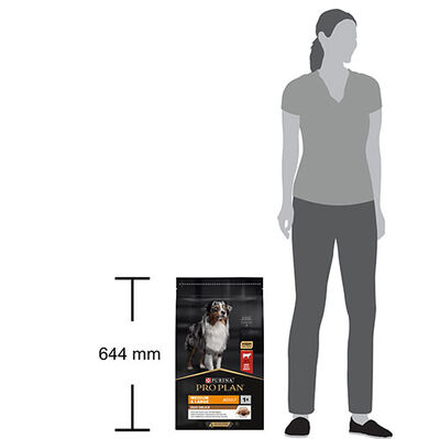 Pro Plan Duo Delice Parça Sığır Etli Köpek Maması 10 Kg + 2 Adet Temizlik Havlusu