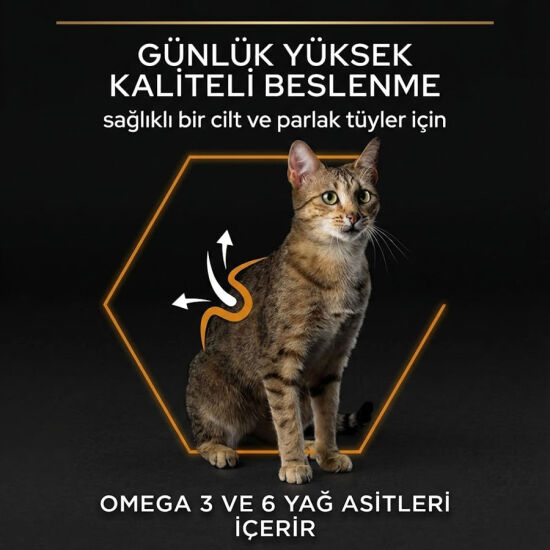Pro Plan Derma Care Hassas Deri Somonlu Kedi Maması 1,5 Kg + Felix Soup Time Çorba - 4