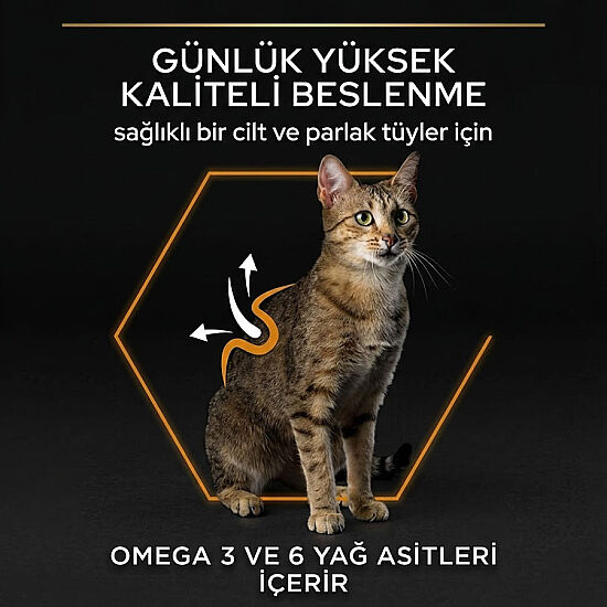 Pro Plan Derma Care Hassas Deri Somonlu Kedi Maması 10 Kg + 14 Adet Pro Plan Hairball Pouch - 4