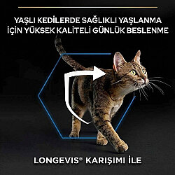Pro Plan Derma Care Hassas Deri Somonlu Kedi Maması 10 Kg + 14 Adet Pro Plan Hairball Pouch - 7