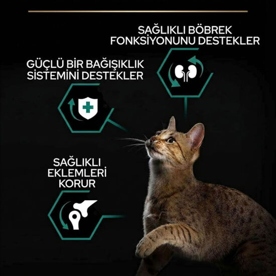 Pro Plan Kısırlaştırılmış Hindi Etli Kedi Maması 3 Kg + 3 Adet Pro Plan Konserve 85 Gr - 5