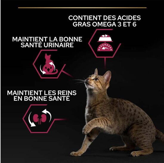 Pro Plan Kısırlaştırılmış Morina ve Alabalık Kedi Maması 10 Kg + Everclean 10 Lt Kedi Kumu - 4