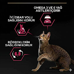 Pro Plan Kısırlaştırılmış Morina ve Alabalık Kedi Maması 10 Kg + 14 Adet Pro Plan Hairball Pouch - 4