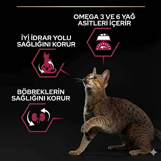 Pro Plan Kısırlaştırılmış Morina ve Alabalık Kedi Maması 10 Kg + 14 Adet Pro Plan Hairball Pouch - 4