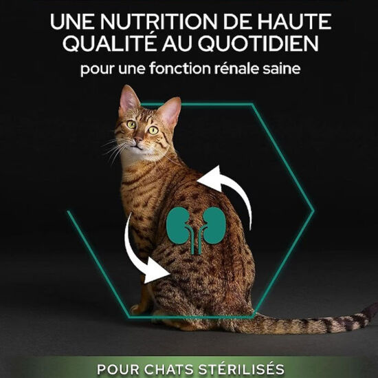 Pro Plan Kısırlaştırılmış Somon Balıklı Kedi Maması 10 + 2 Kg (Toplam 12 Kg) x 2 Adet - 3