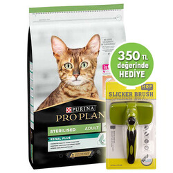 Pro Plan - Pro Plan Kısırlaştırılmış Somon Balıklı Kedi Maması 3 Kg + Yingte Sustalı Tarak 18 x 12 Cm