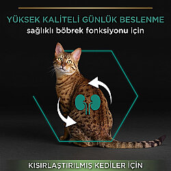 Pro Plan Kısırlaştırılmış Tavşanlı Kedi Maması 10 Kg x 2 Adet + 35 Adet Pro Plan Hairball Pouch - 3