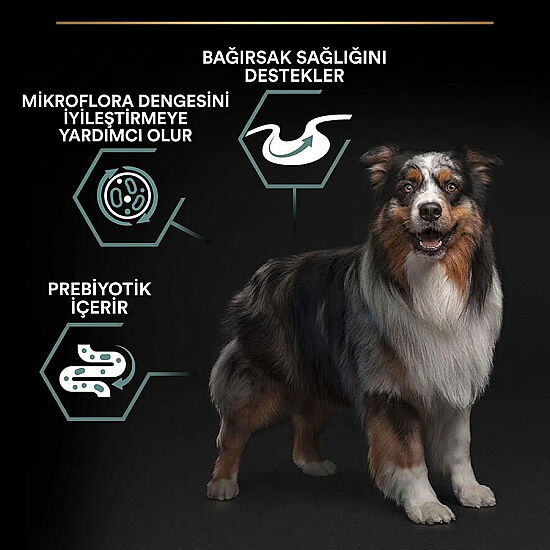 Pro Plan Kuzu Etli Hassas Sindirim Köpek Maması 14 Kg + 3 Adet Pro Plan Konserve 400 Gr - 8