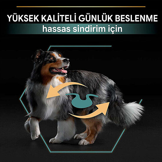 Pro Plan Kuzu Etli Hassas Sindirim Köpek Maması 14 Kg + 3 Adet Pro Plan Konserve 400 Gr - 9