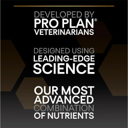 Pro Plan Kuzu Etli Hassas Sindirim Köpek Maması 10 Kg - 6