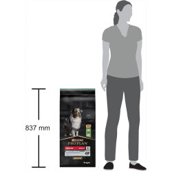 Pro Plan Kuzu Etli Hassas Sindirim Köpek Maması 10 Kg - 10