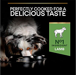 Pro Plan Kuzu Etli Hassas Sindirim Köpek Maması 3 Kg x 2 Adet - 3