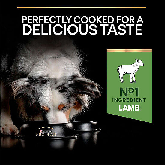 Pro Plan Kuzu Etli Hassas Sindirim Köpek Maması 3 Kg x 2 Adet - 3