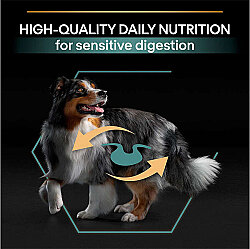 Pro Plan Kuzu Etli Hassas Sindirim Köpek Maması 3 Kg x 2 Adet - 7