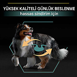 Pro Plan Kuzu Etli Hassas Sindirim Köpek Maması 14 Kg x 2 Adet + 12 Adet Pro Plan Konserve - 8
