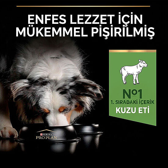 Pro Plan Kuzu Etli Hassas Sindirim Köpek Maması 14 Kg x 2 Adet + 12 Adet Pro Plan Konserve - 9