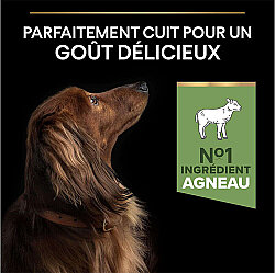 Pro Plan Mini Lamb Kuzulu Küçük Irk Köpek Maması 3 Kg x 2 Adet - 5