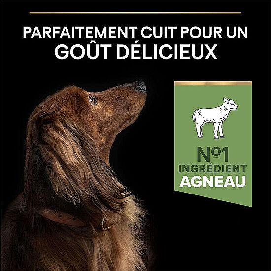 Pro Plan Mini Lamb Kuzulu Küçük Irk Köpek Maması 3 Kg x 2 Adet - 5