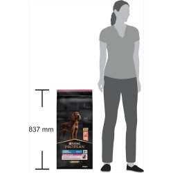 Pro Plan Large Athletic Sensitive Büyük Irk Somonlu Köpek Maması 14 Kg + 2 Adet Gimdog 70 Gr Köpek Ödülü - 10