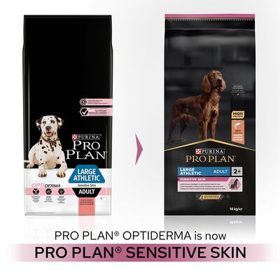 Pro Plan Large Athletic Sensitive Skin Büyük Irk Somonlu Köpek Maması 14 Kg 