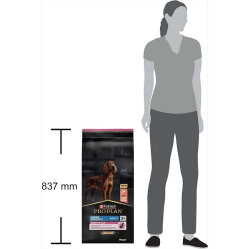 Pro Plan Large Athletic Sensitive Büyük Irk Somonlu Köpek Maması 14 Kg x 2 Adet - 9