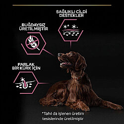 Pro Plan Large Athletic Sensitive Büyük Irk Somonlu Köpek Maması 14 Kg x 2 Adet + 12 Adet Pro Plan Konserve - 4