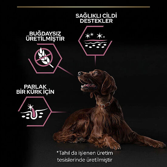 Pro Plan Large Athletic Sensitive Büyük Irk Somonlu Köpek Maması 14 Kg x 2 Adet + 12 Adet Pro Plan Konserve - 4
