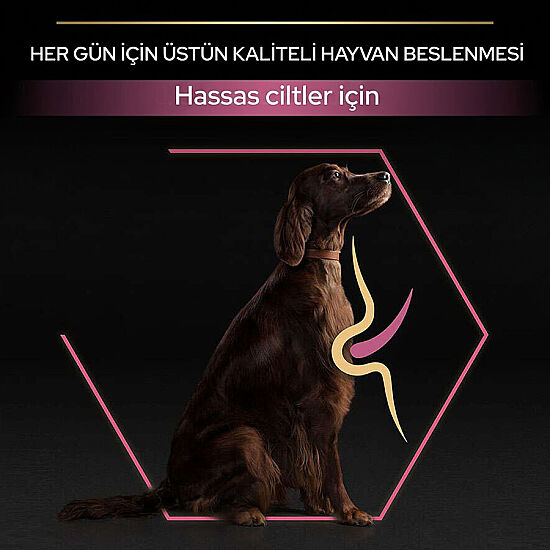 Pro Plan Large Athletic Sensitive Büyük Irk Somonlu Köpek Maması 14 Kg x 2 Adet + 12 Adet Pro Plan Konserve - 5