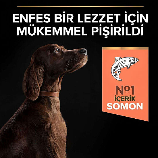 Pro Plan Large Athletic Sensitive Büyük Irk Somonlu Köpek Maması 14 Kg x 2 Adet + 12 Adet Pro Plan Konserve - 7