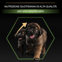 Pro Plan Large Robust Kuzu Etli Büyük Irk Köpek Maması 14 Kg x 2 Adet - 4