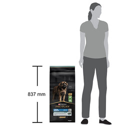 Pro Plan Large Robust Kuzu Etli Büyük Irk Köpek Maması 14 Kg + 2 Adet Temizlik Havlusu - Thumbnail