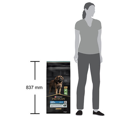 Pro Plan Large Robust Kuzu Etli Büyük Irk Köpek Maması 14 Kg + 2 Adet Temizlik Havlusu
